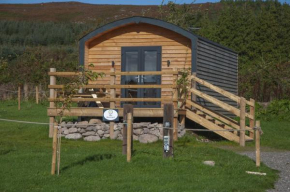 The Buzzard - 6 Person Family Glamping Cabin